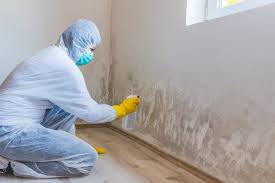 Best Mold Remediation for Healthcare Facilities  in Salt Lake City, UT